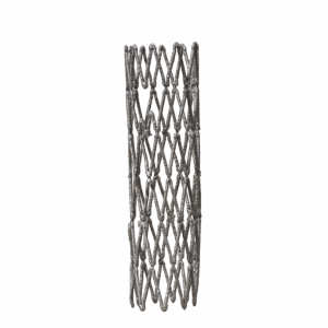 stent
